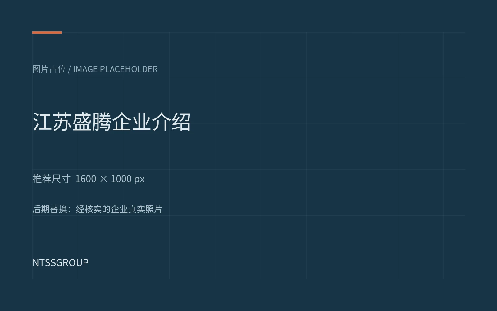 关于江苏盛腾图片占位